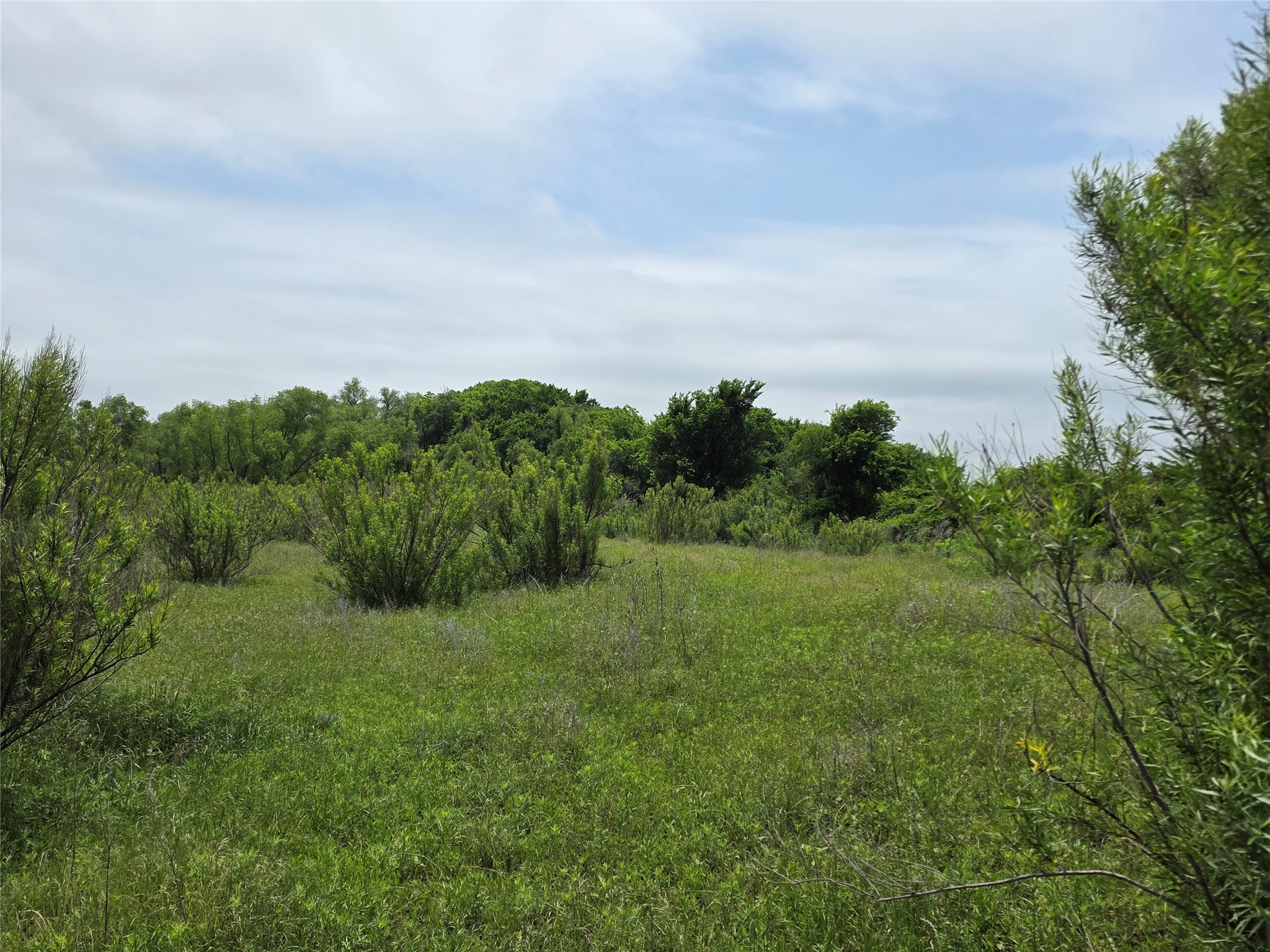 601 County Road 136 Comanche TX 76442