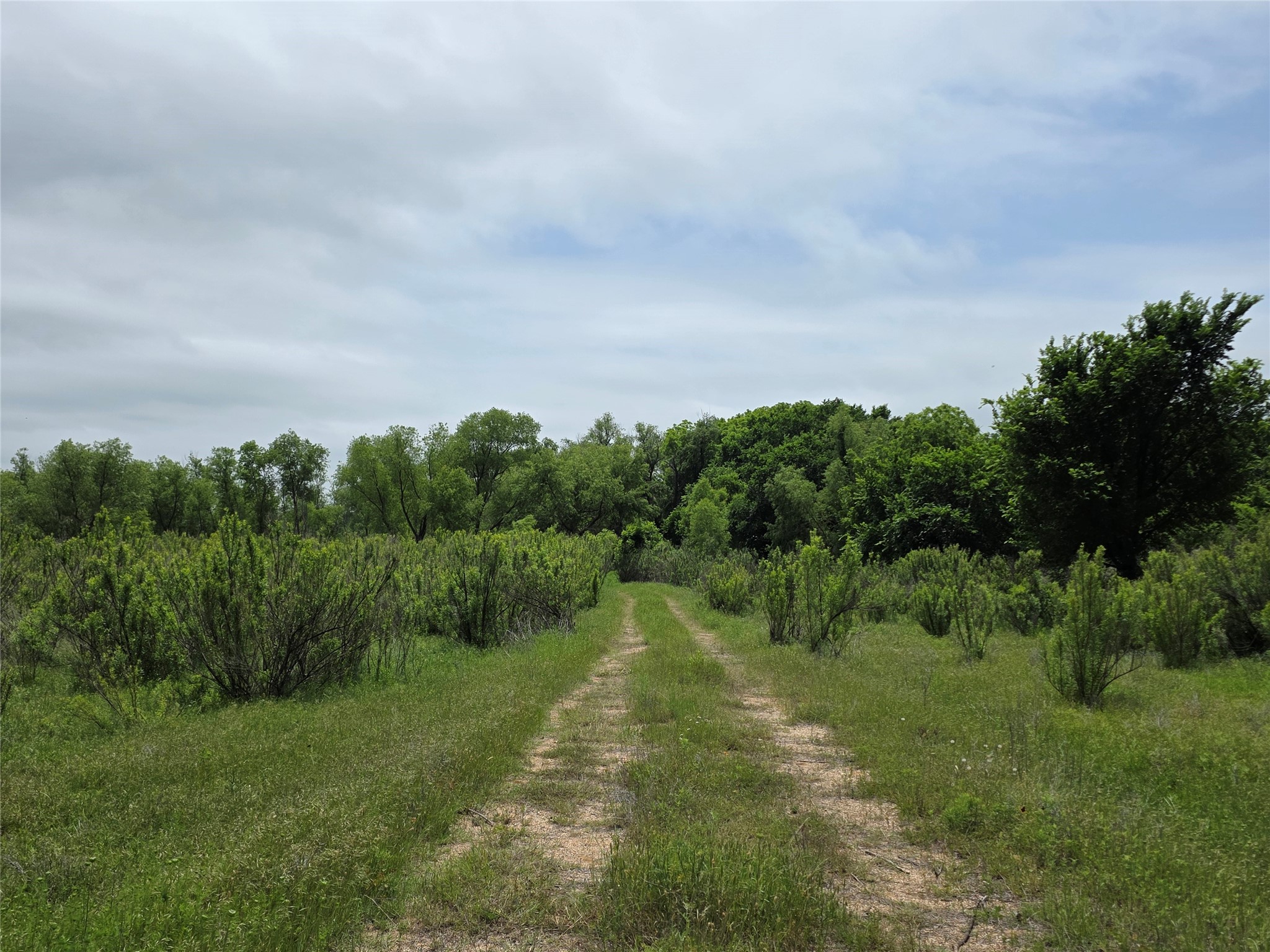 601 County Road 136 Comanche TX 76442