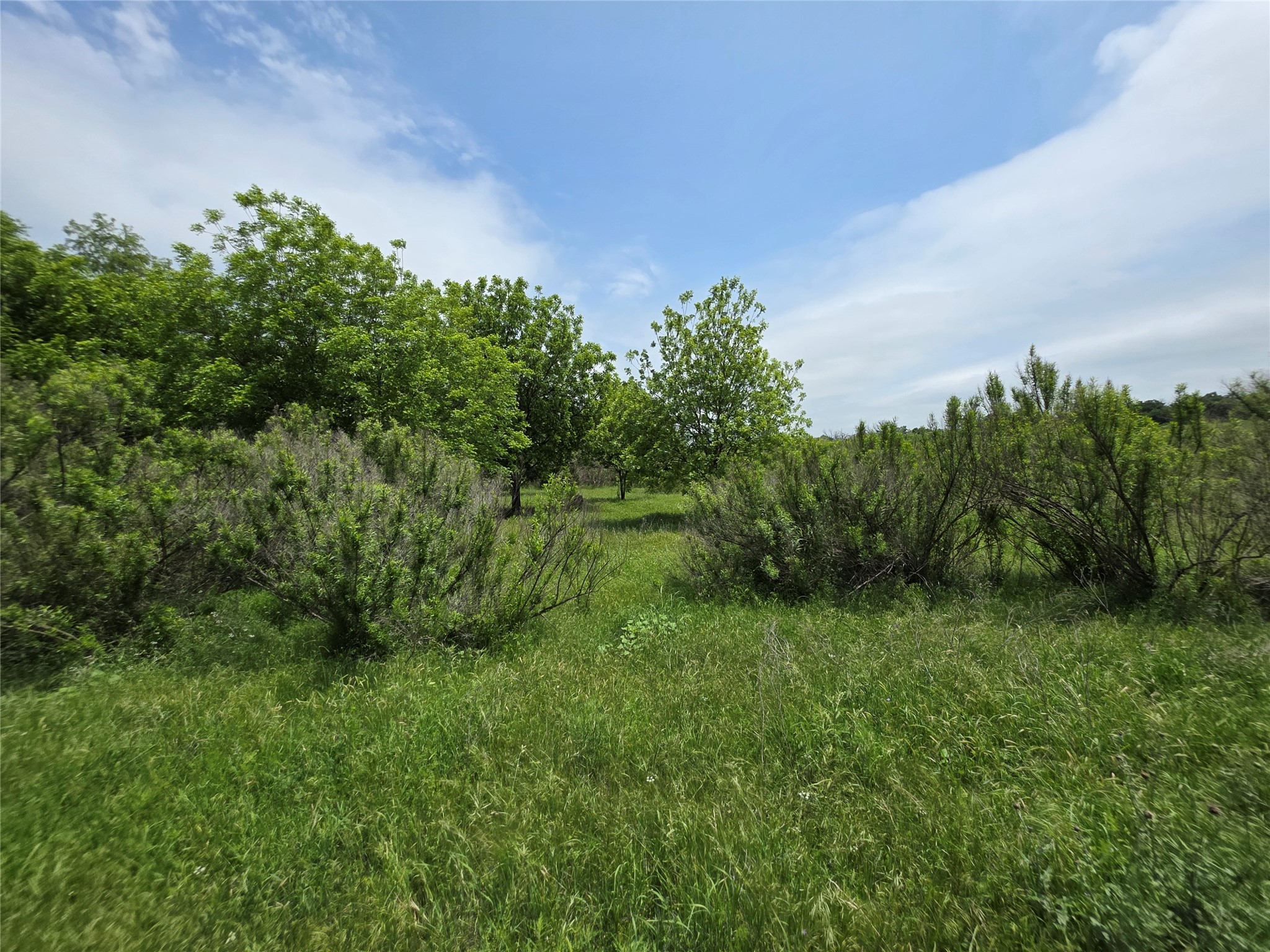 601 County Road 136 Comanche TX 76442