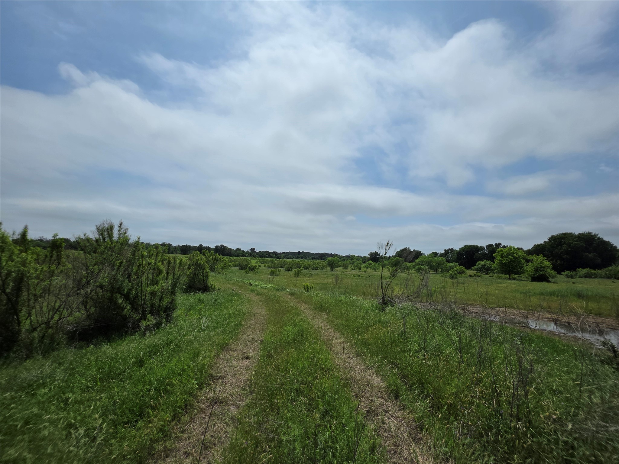 601 County Road 136 Comanche TX 76442