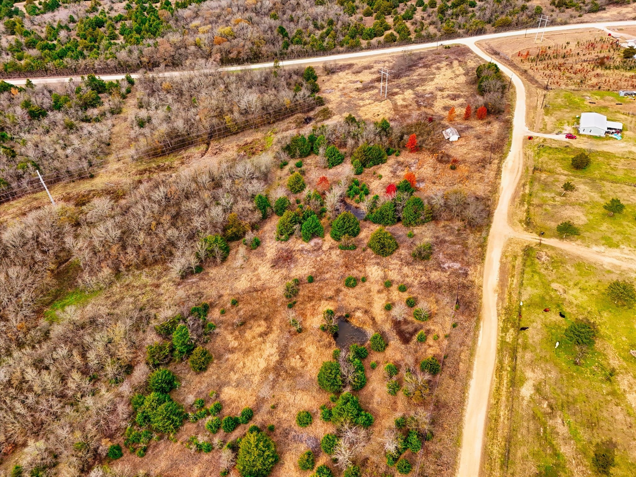 Lcr 462 Lcr 462 Mexia TX 76667