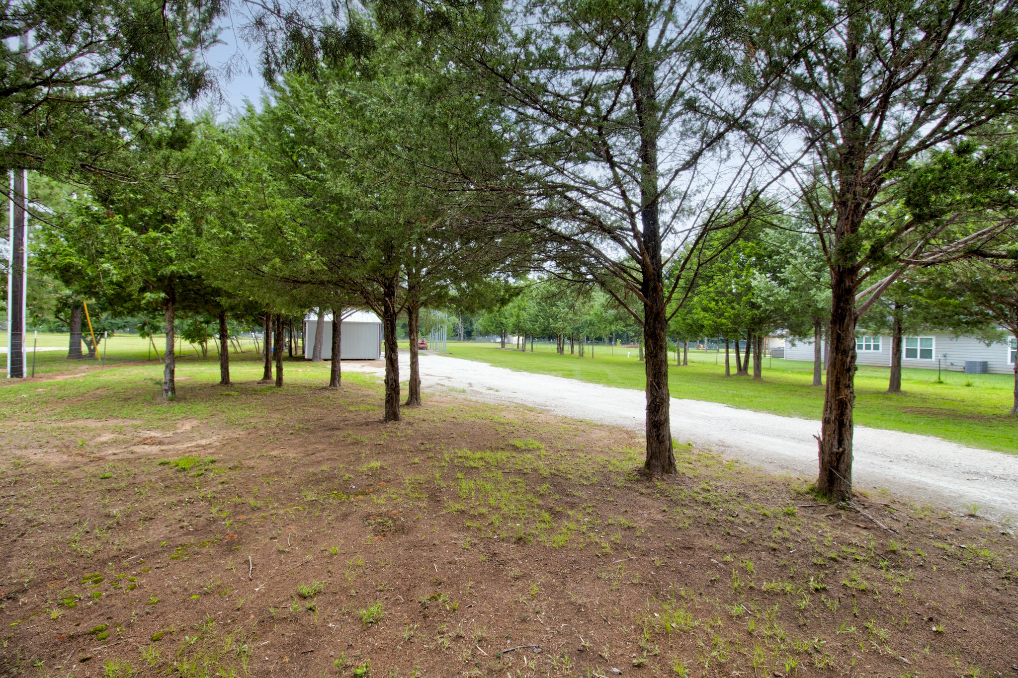 1469 Cedar Mills Gordonville TX 76245