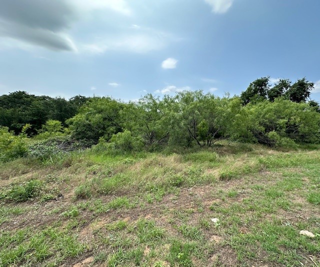 1633 Rockview Drive Granbury TX 76049