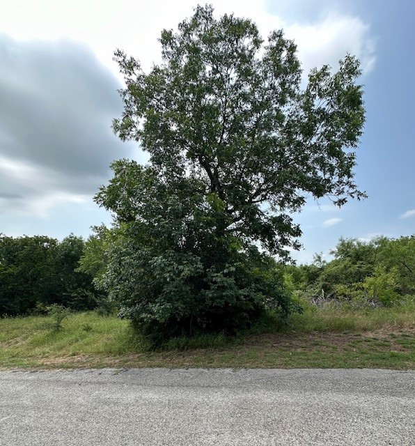 1633 Rockview Drive Granbury TX 76049