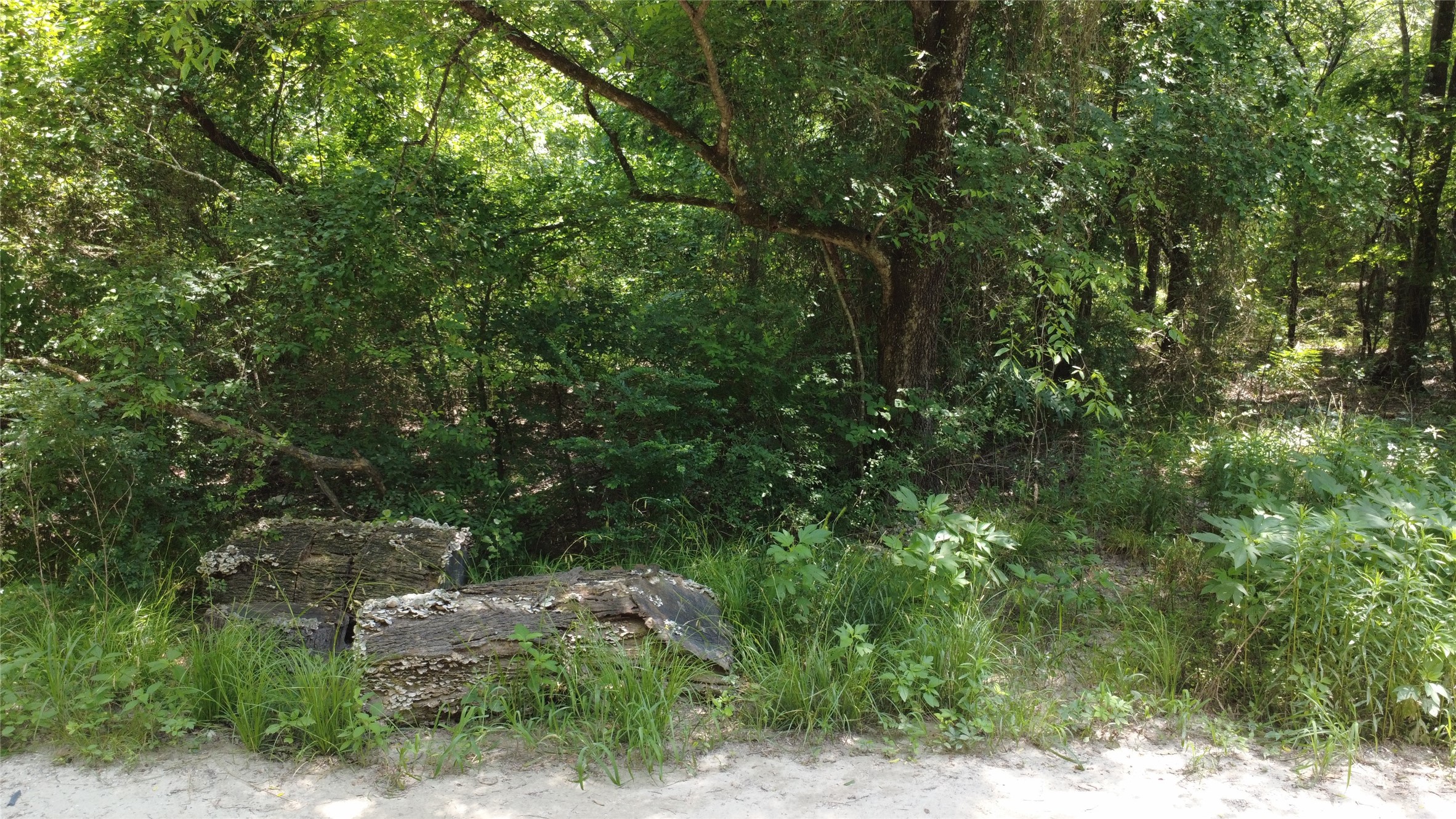 Tbd 1.9 Acres Lot 36 Wills Point TX 75169