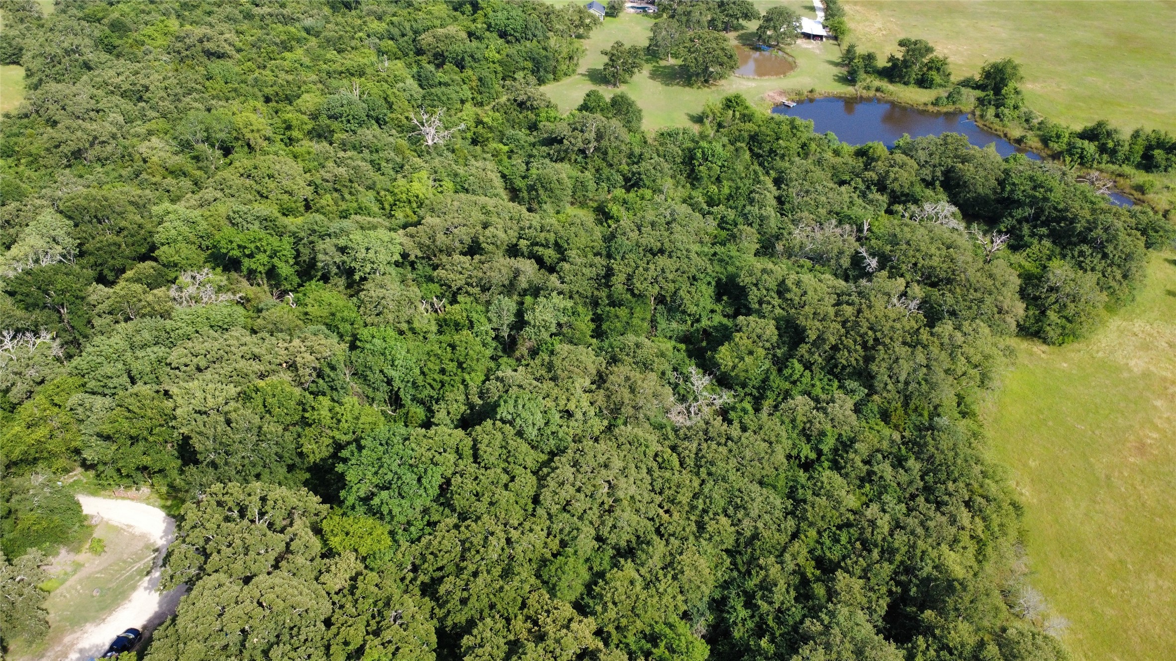 Tbd 1.9 Acres Lot 36 Wills Point TX 75169