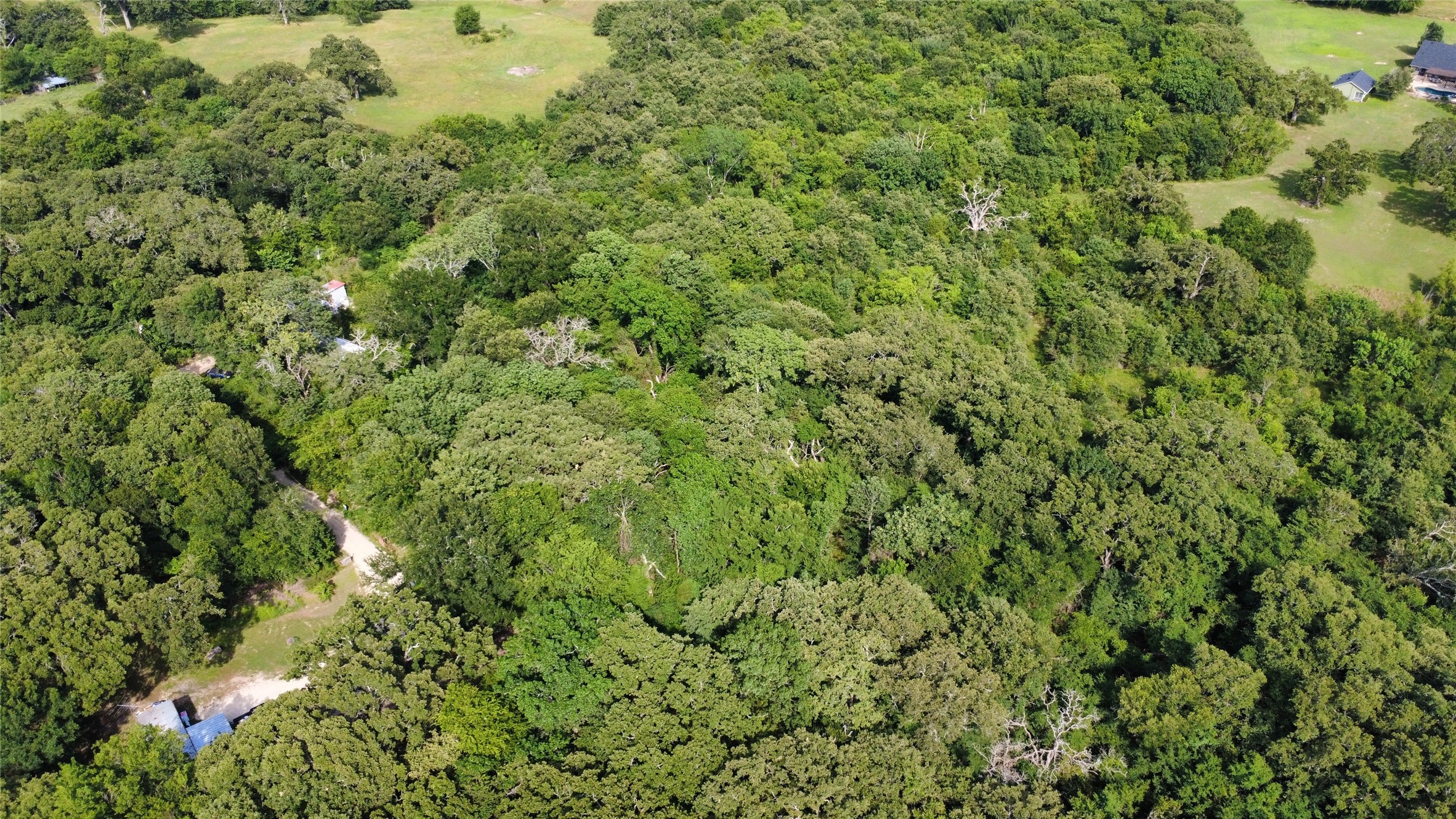 Tbd 1.9 Acres Lot 36 Wills Point TX 75169