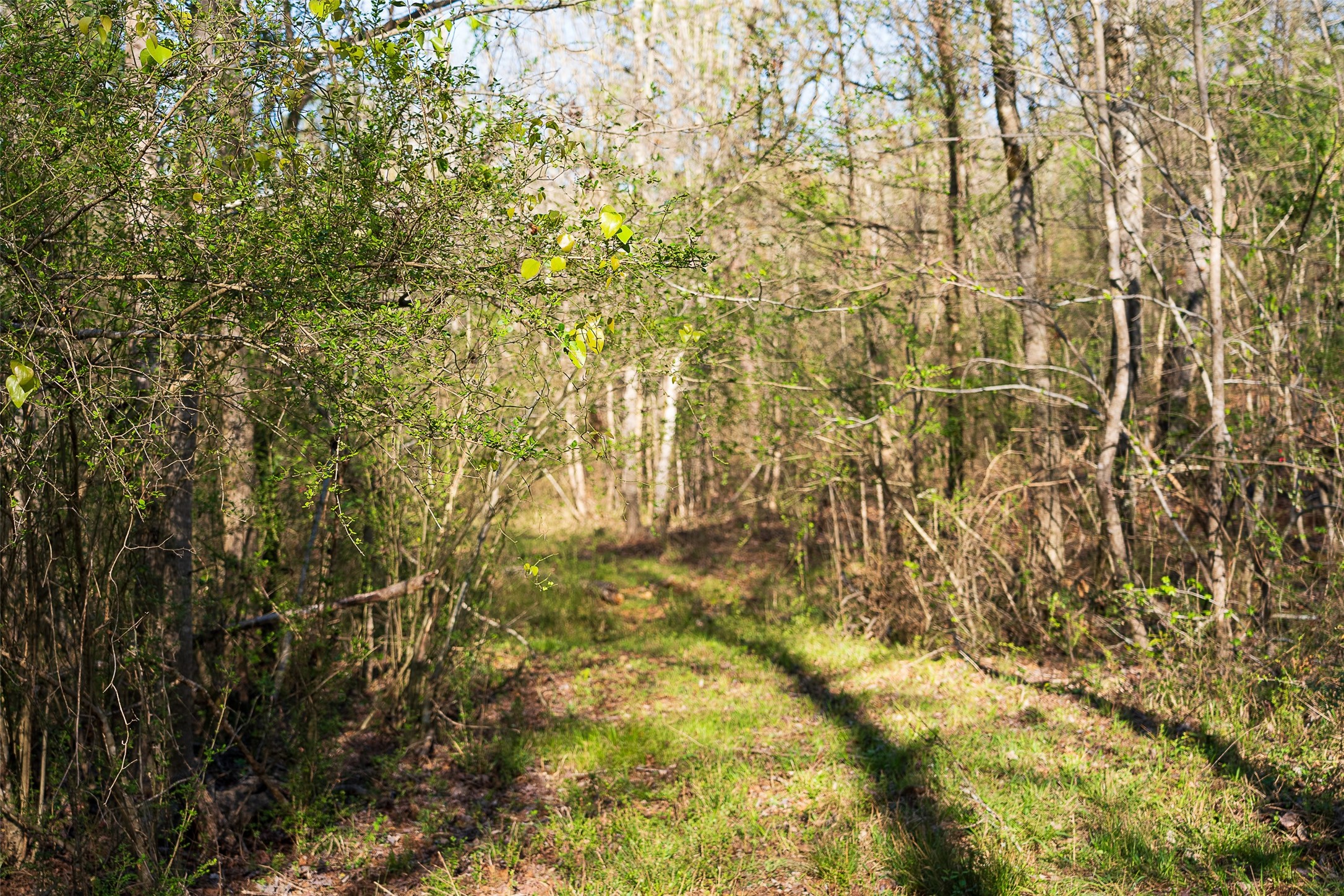 0 Farm To Market Road 747 Jacksonville TX 75766