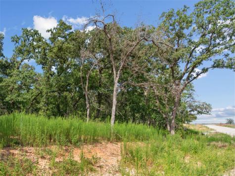 Lot 54 Kilkenny Road Poolville TX 76487
