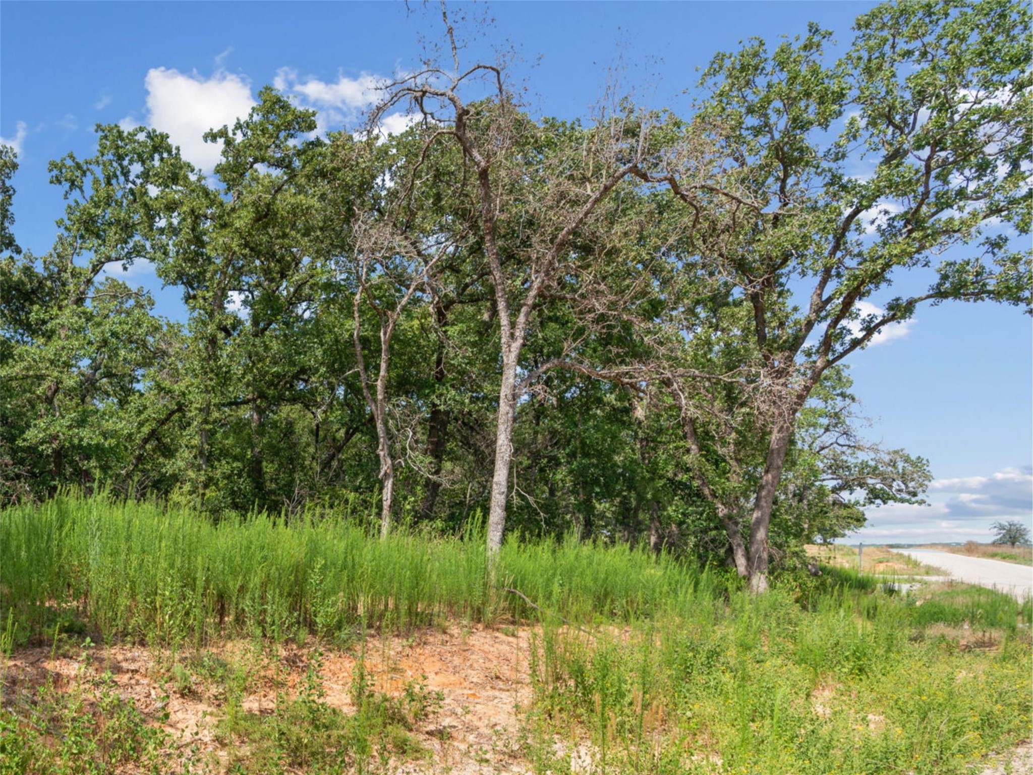 Lot 54 Kilkenny Road Poolville TX 76487
