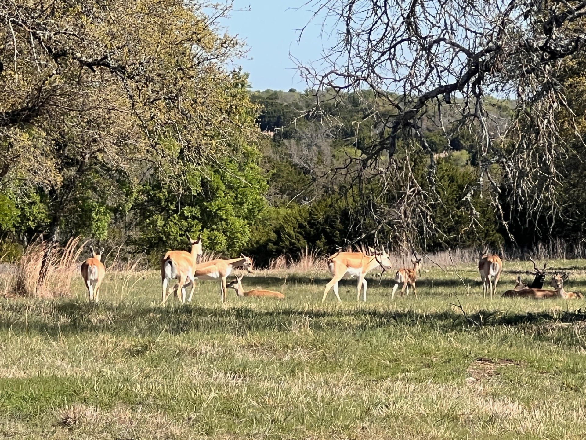 235 Private Road 2124 Meridian TX 76665