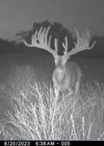 235 Private Road 2124 Meridian TX 76665