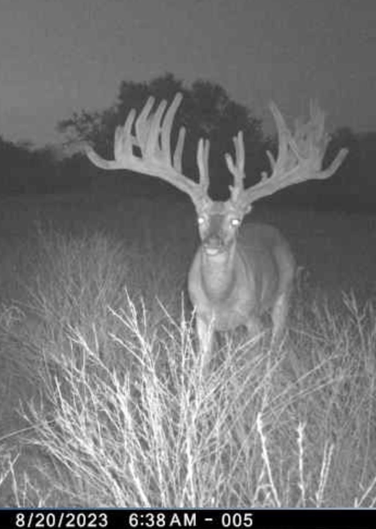 235 Private Road 2124 Meridian TX 76665