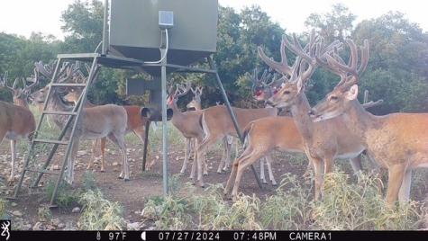 235 Private Road 2124 Meridian TX 76665