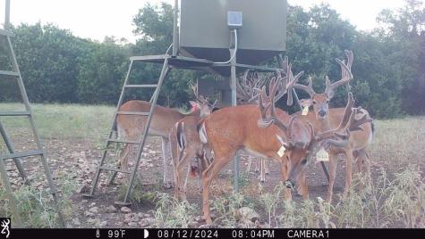 235 Private Road 2124 Meridian TX 76665