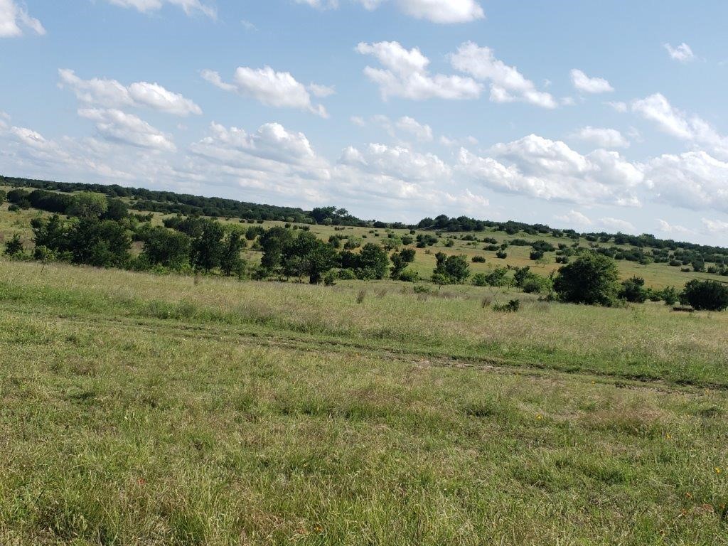7947 Cr 1255 Lampasas TX 76550