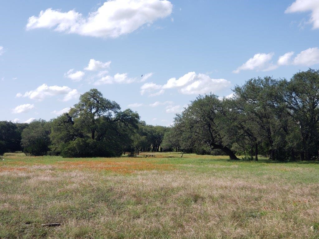 7947 Cr 1255 Lampasas TX 76550