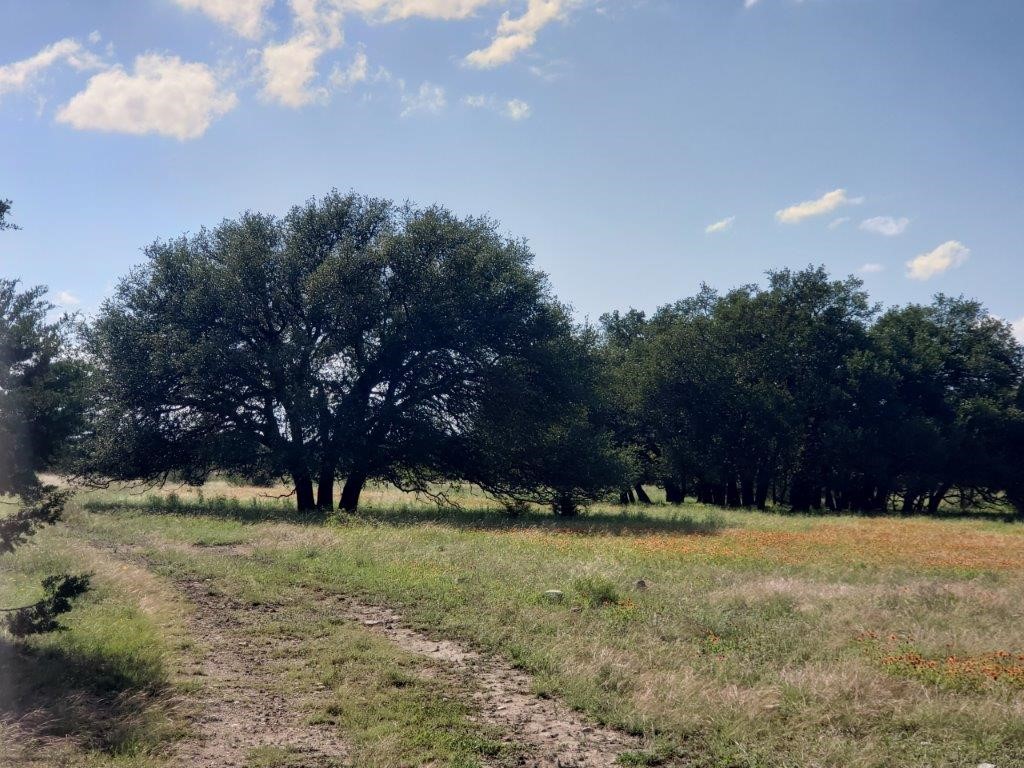 7947 Cr 1255 Lampasas TX 76550