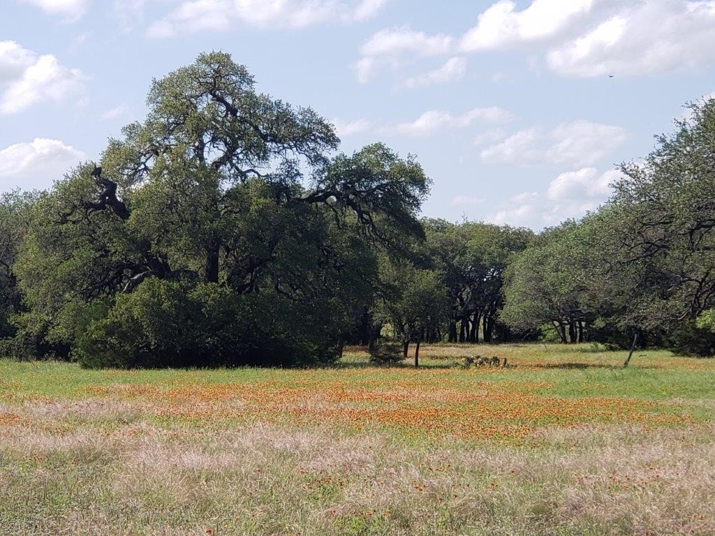 7947 Cr 1255 Lampasas TX 76550