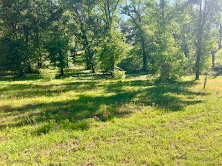 1579 Shoreline Drive Mabank TX 75147