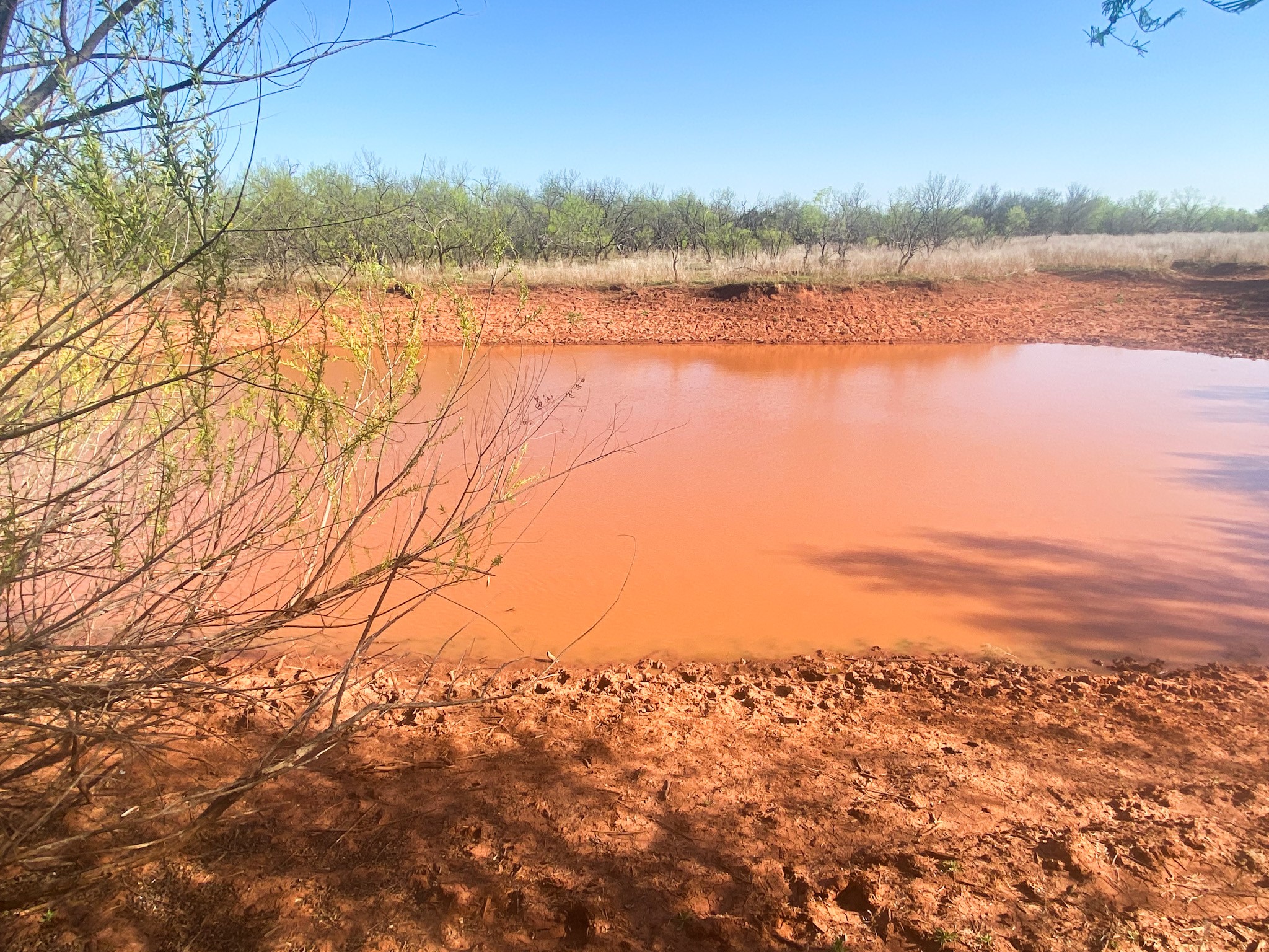 Tbd 80 Acres Cr 150 Tuscola TX 79562