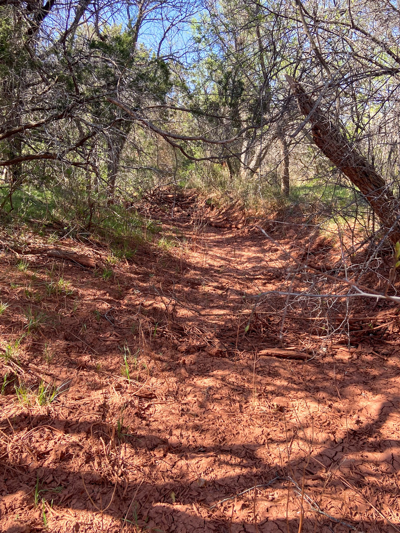 Tbd 80 Acres Cr 150 Tuscola TX 79562