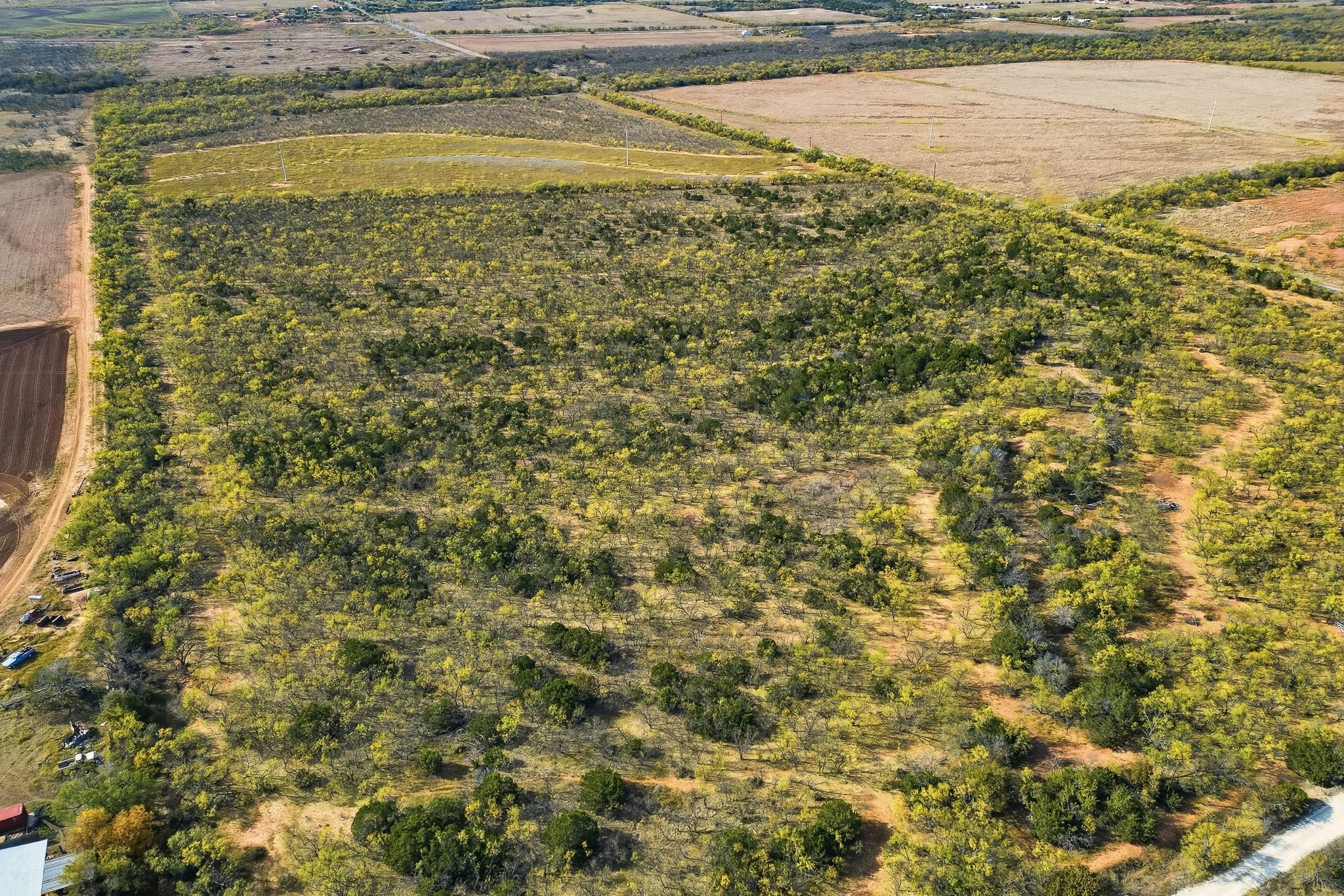 Tbd 80 Acres Cr 150 Tuscola TX 79562