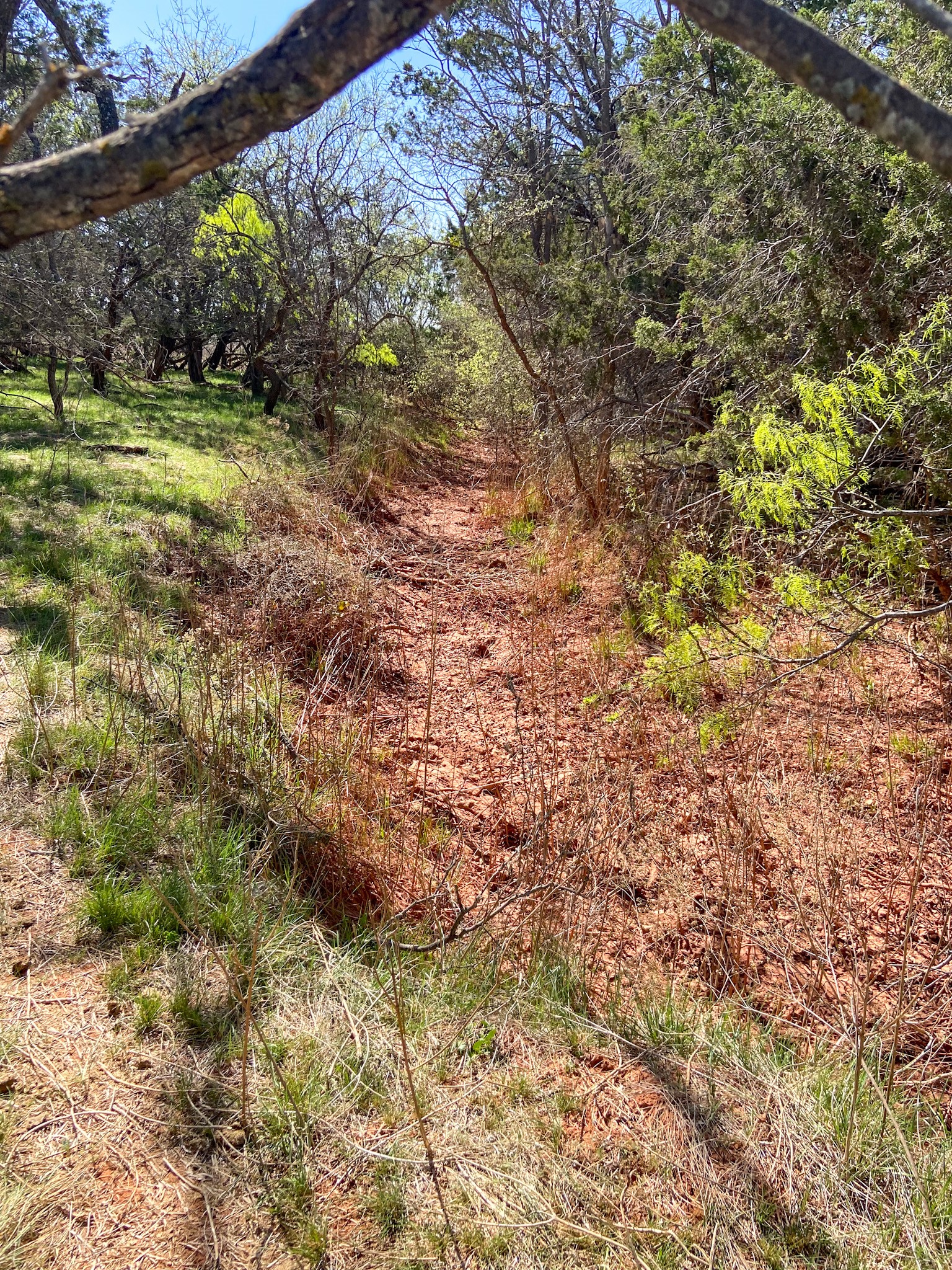 Tbd 80 Acres Cr 150 Tuscola TX 79562