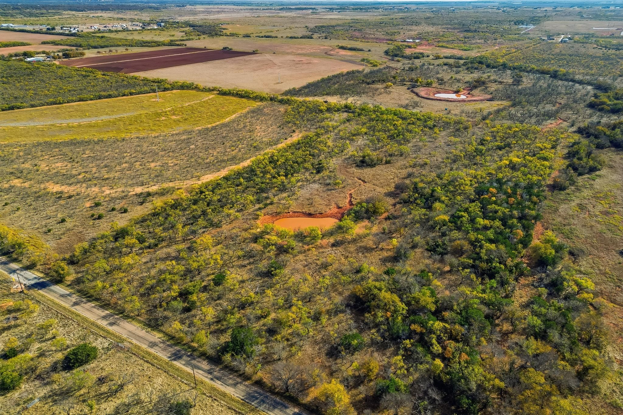 Tbd 80 Acres Cr 150 Tuscola TX 79562