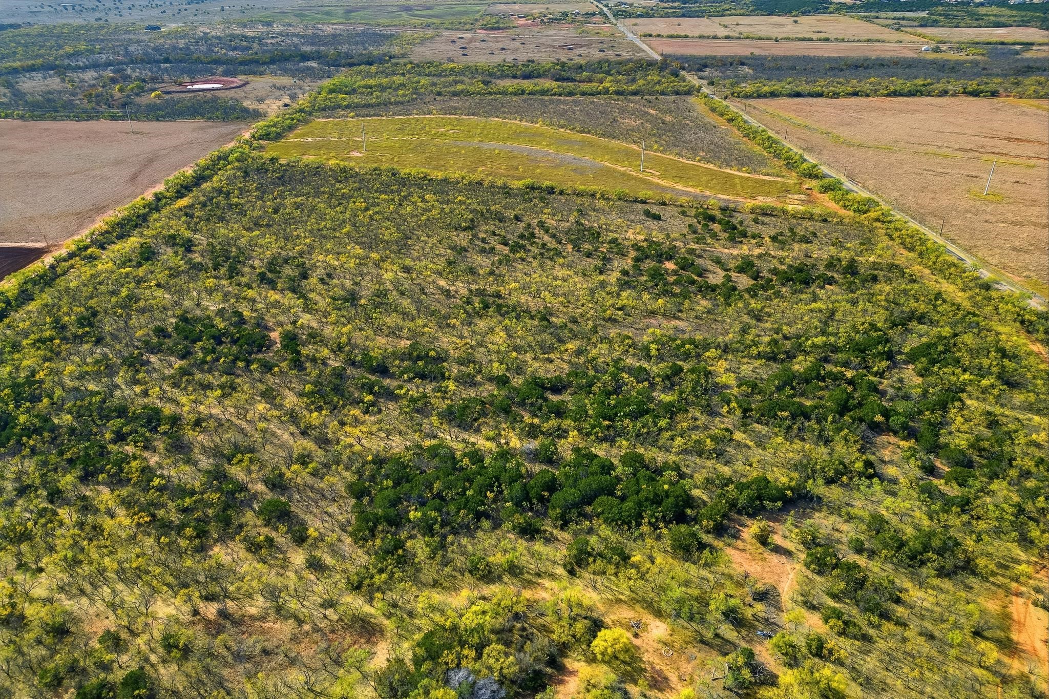 Tbd 80 Acres Cr 150 Tuscola TX 79562