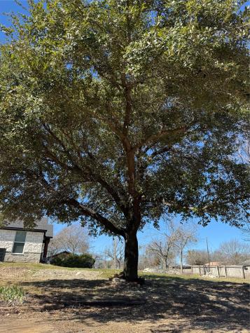 5204 E Fm-875 Waxahachie TX 75167