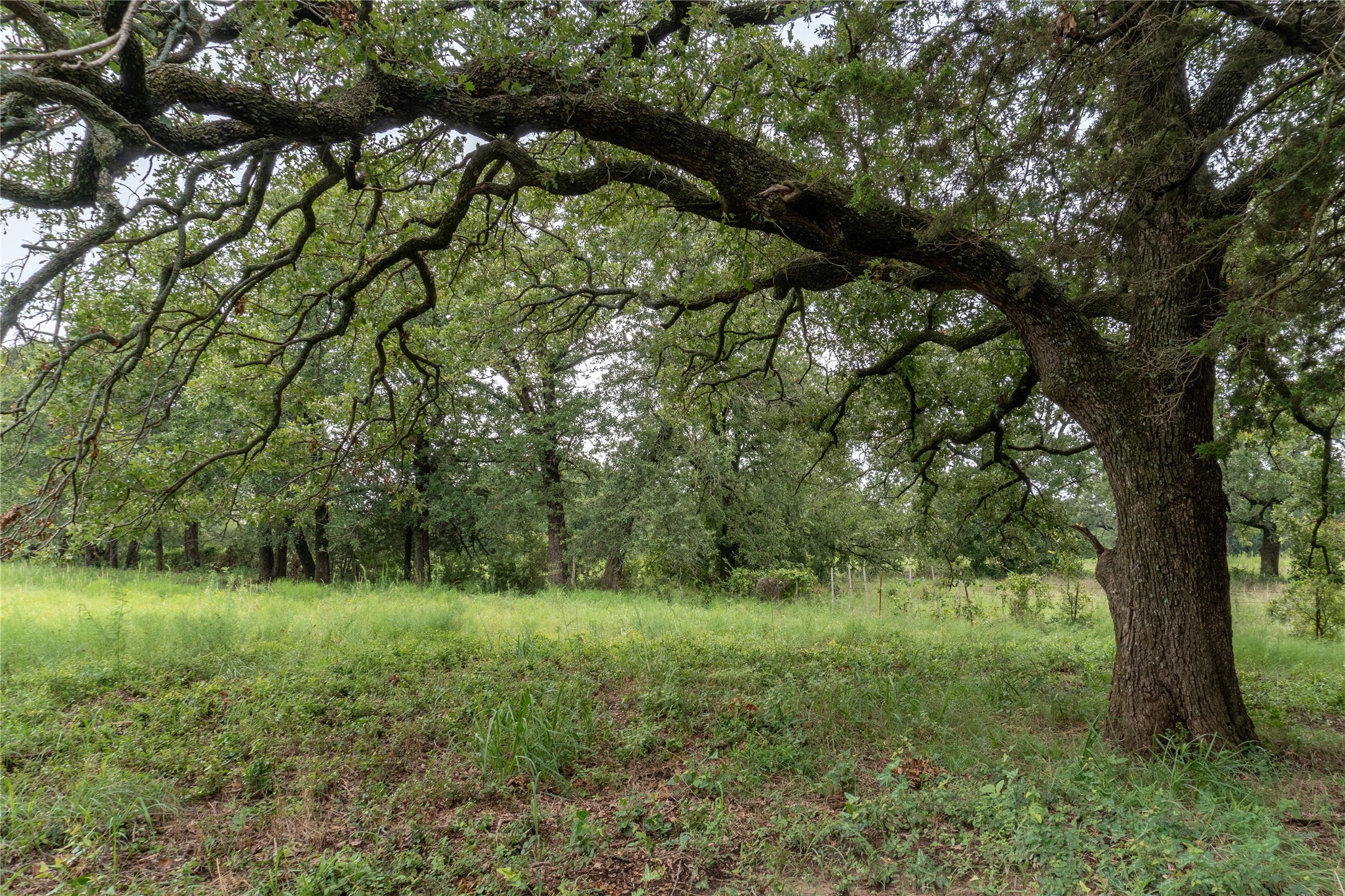 T4 Coleman Ranch Road Tolar TX 76476
