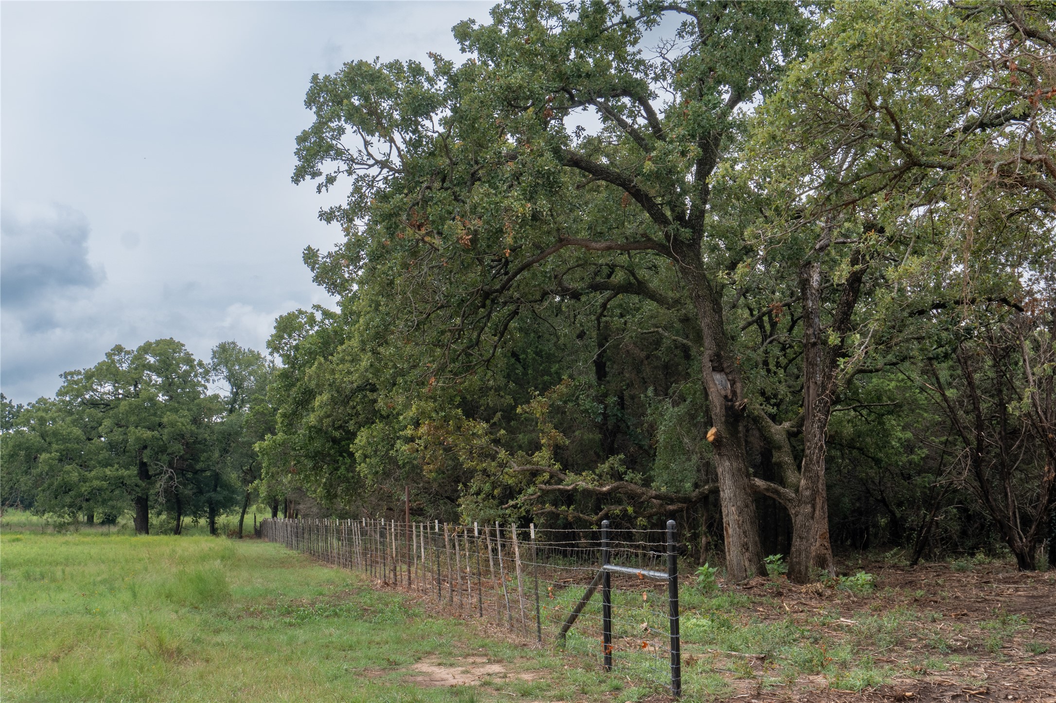 T4 Coleman Ranch Road Tolar TX 76476