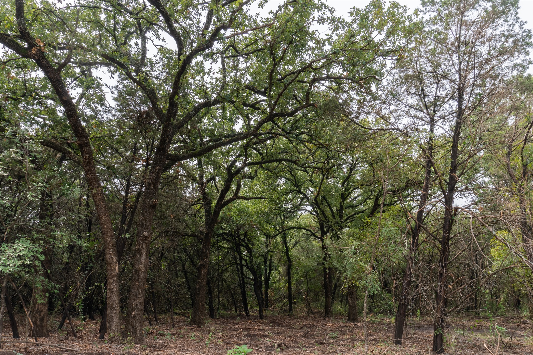 T4 Coleman Ranch Road Tolar TX 76476