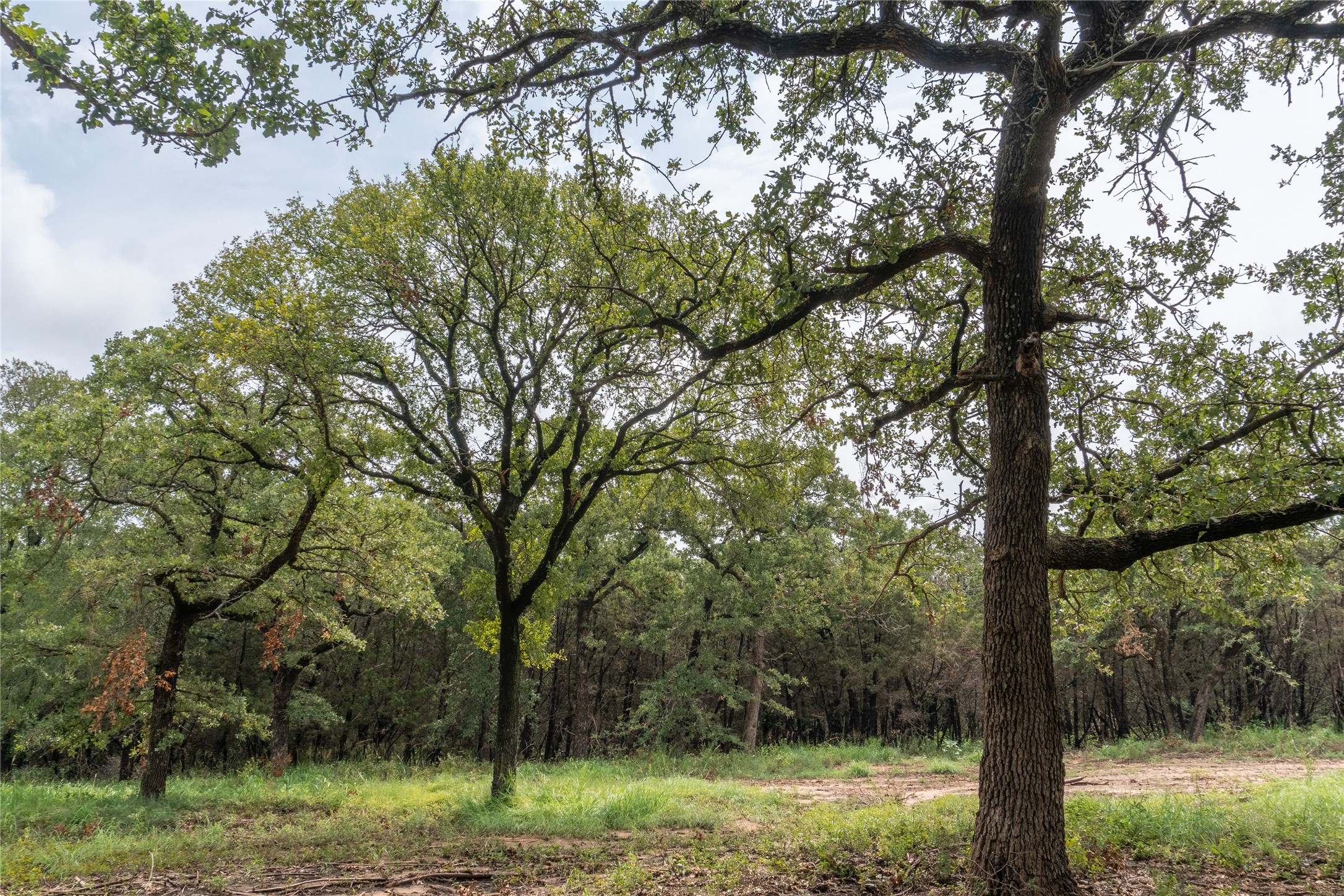 T4 Coleman Ranch Road Tolar TX 76476