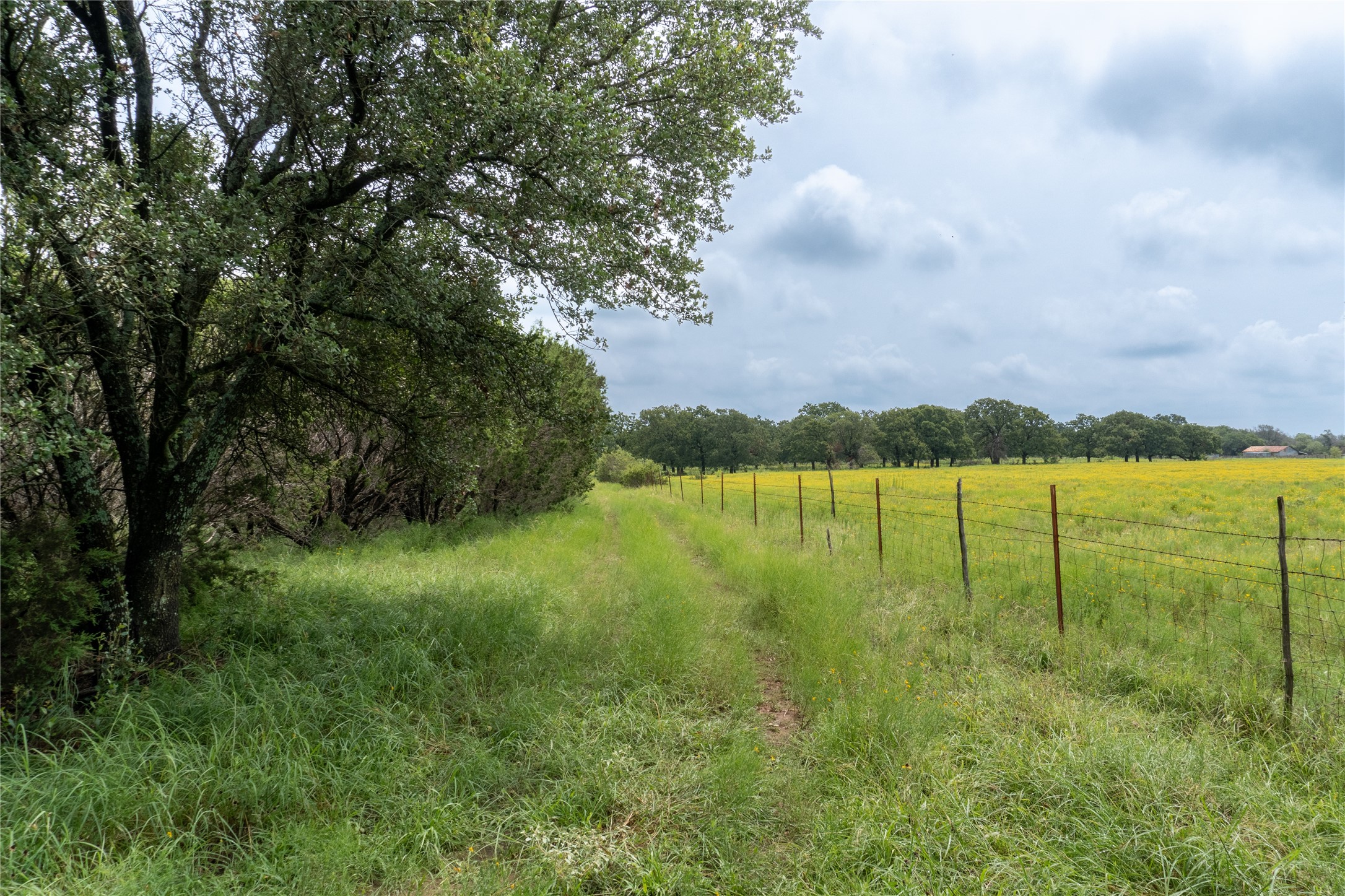 T4 Coleman Ranch Road Tolar TX 76476