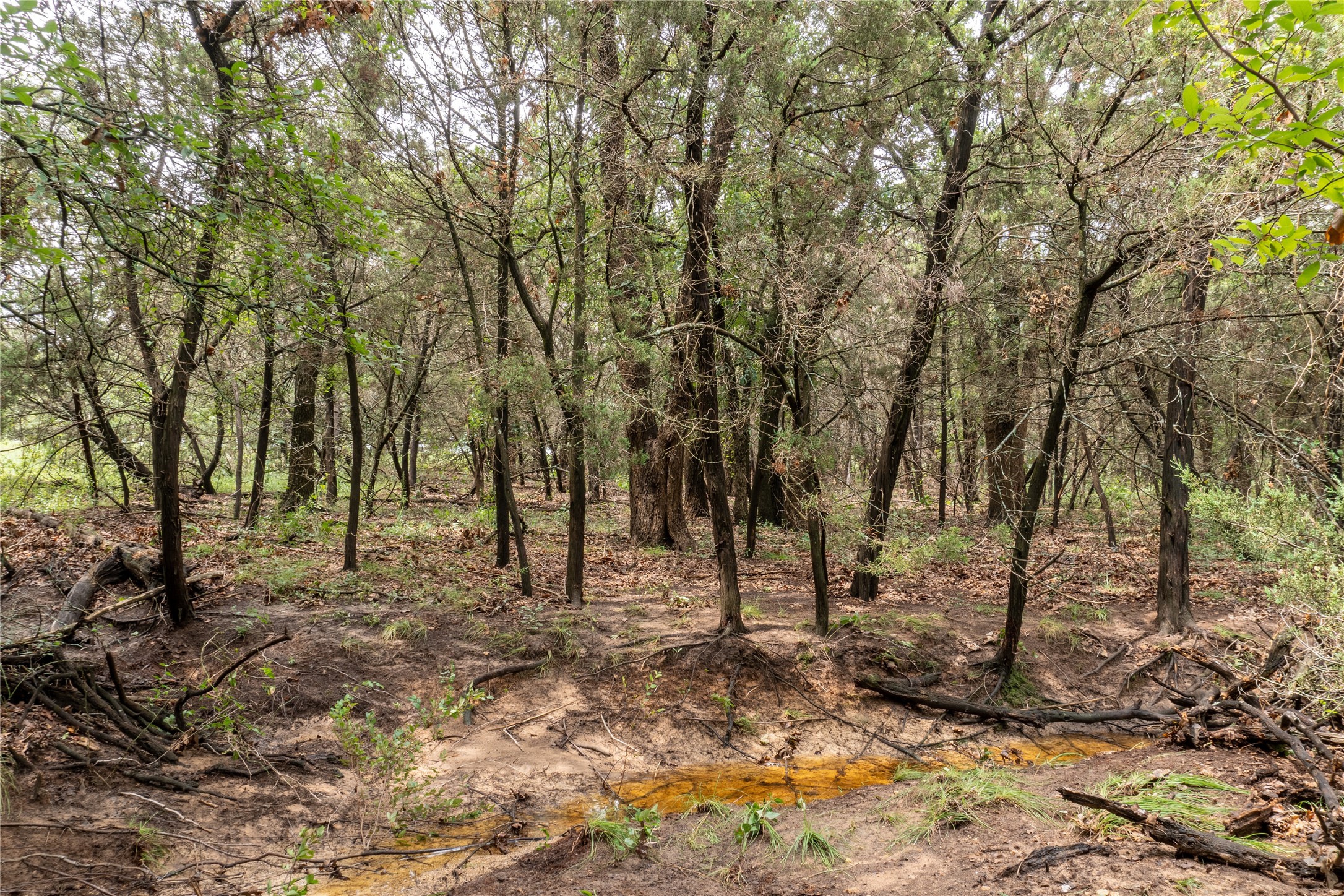 T4 Coleman Ranch Road Tolar TX 76476