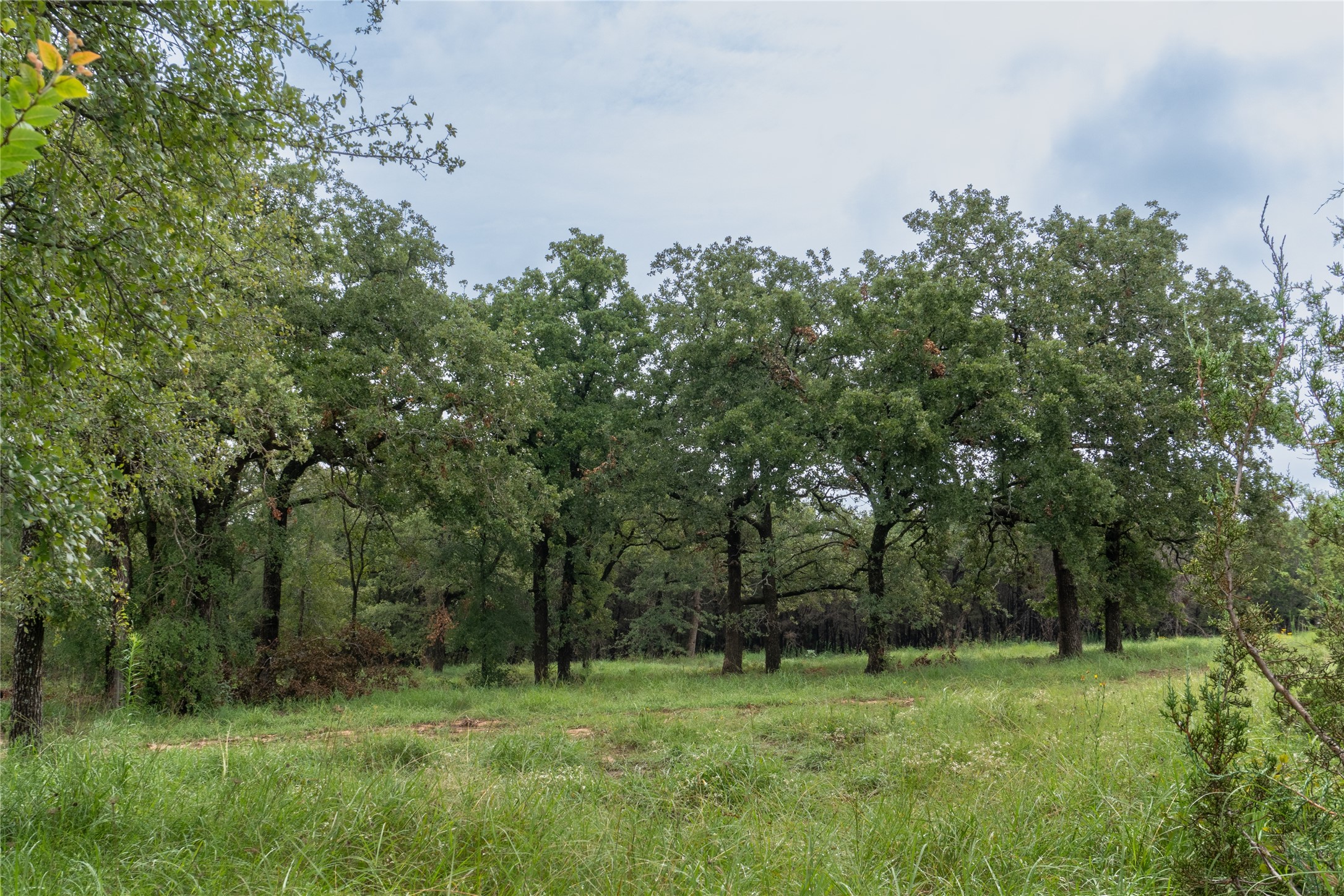 T4 Coleman Ranch Road Tolar TX 76476