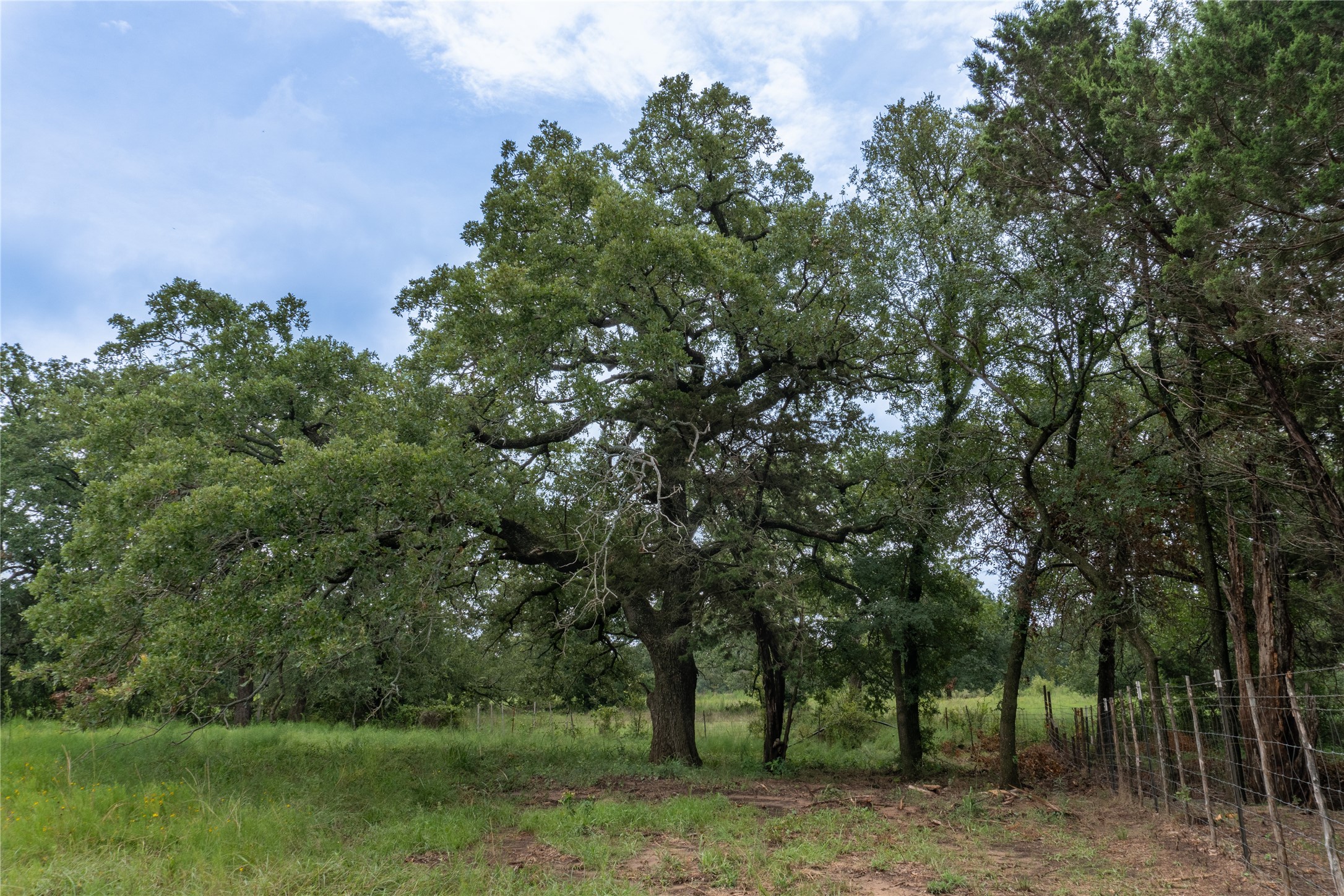 T4 Coleman Ranch Road Tolar TX 76476