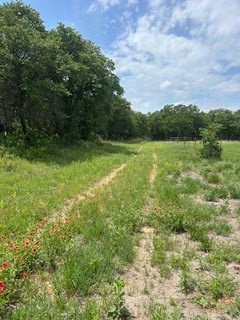 322 County Road 146 De Leon TX 76444