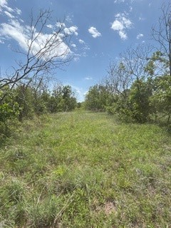 322 County Road 146 De Leon TX 76444