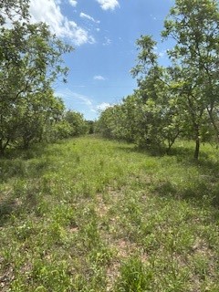 322 County Road 146 De Leon TX 76444