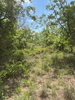 322 County Road 146 De Leon TX 76444