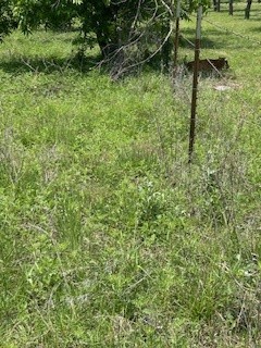 322 County Road 146 De Leon TX 76444