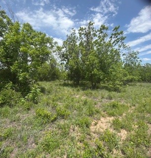 322 County Road 146 De Leon TX 76444