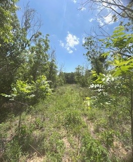 322 County Road 146 De Leon TX 76444