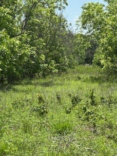 322 County Road 146 De Leon TX 76444