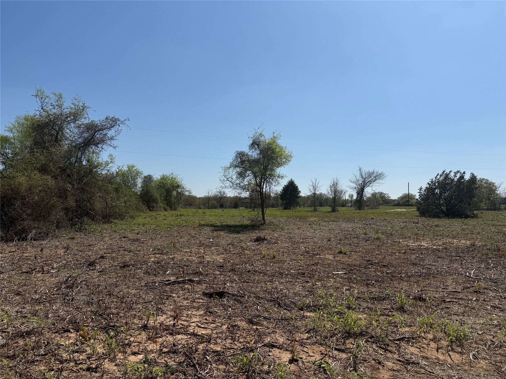Tbd Lot 5 County Road 3855 Poolville TX 76487