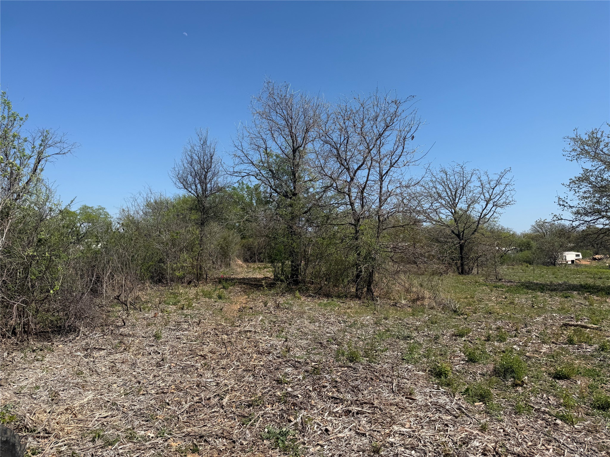 Tbd Lot 5 County Road 3855 Poolville TX 76487
