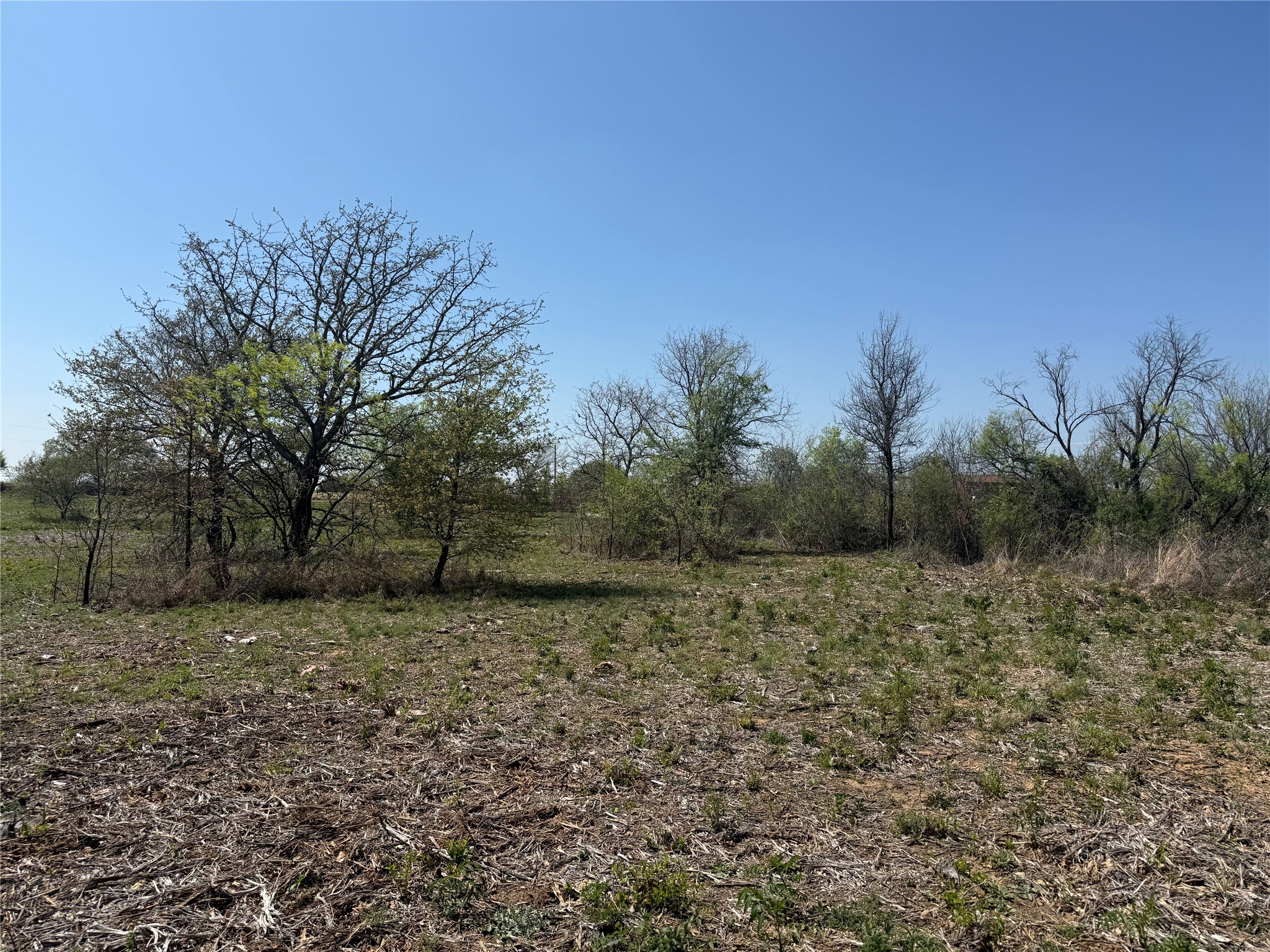 Tbd Lot 5 County Road 3855 Poolville TX 76487